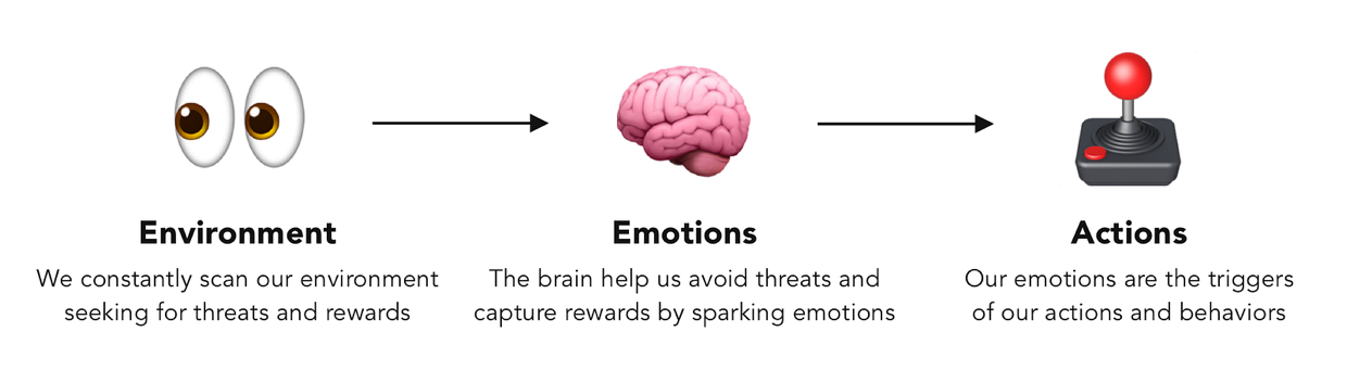 The environment-emotion-action flow